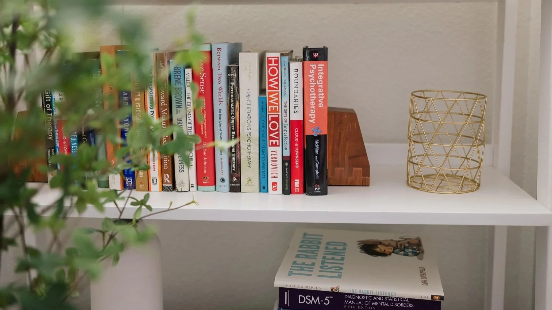 Bookshelf with therapy resources